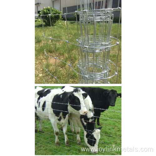 Knot Fixed-knot Game Field Fence